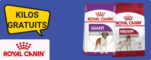 Jusqu’à 3 kilos gratuits sur les sacs Royal Canin pour chiens